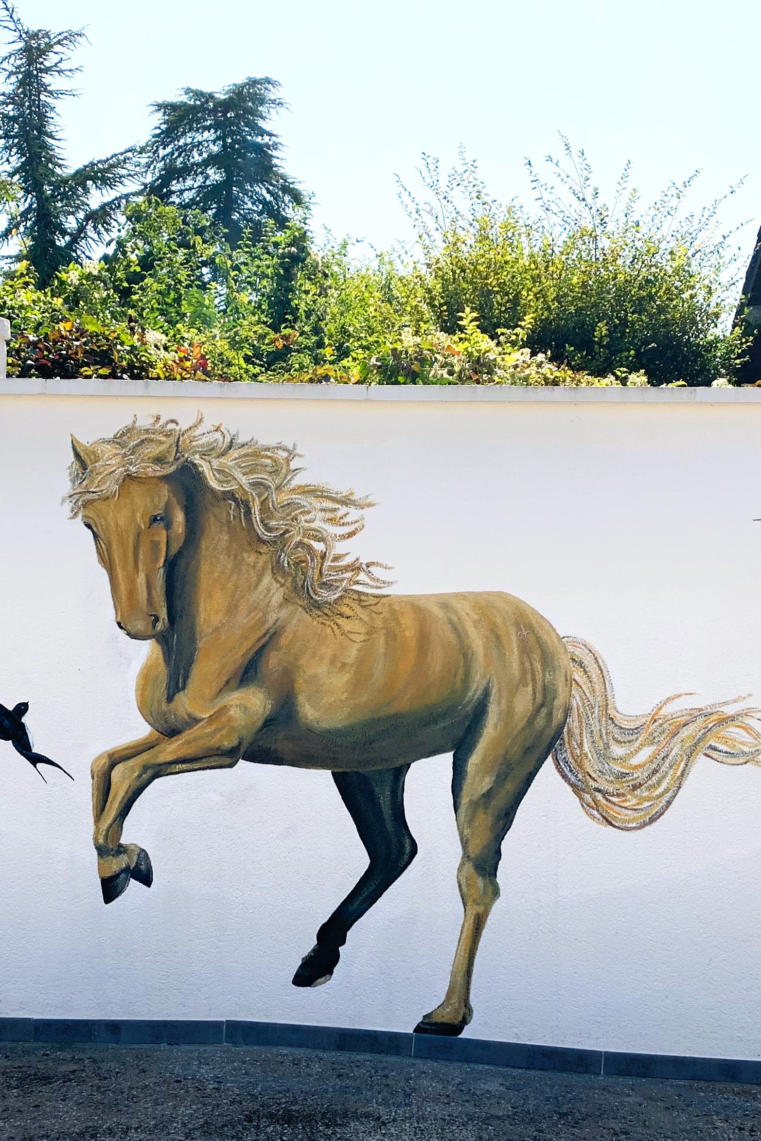 Fresque extérieure du bal des hirondelles et d'un cheval